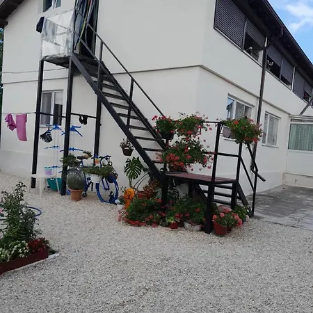 Casa Mihaela Prázdninový dům Schitu
